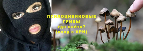 гашик Балахна