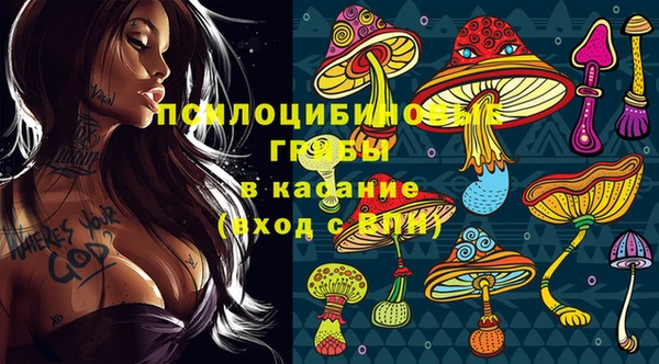 дживик Баксан
