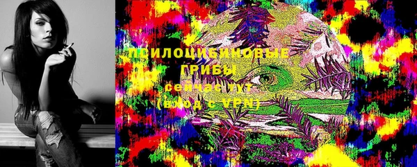 дживик Баксан