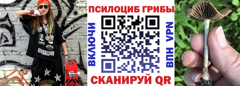 Галлюциногенные грибы мицелий Северо-Курильск